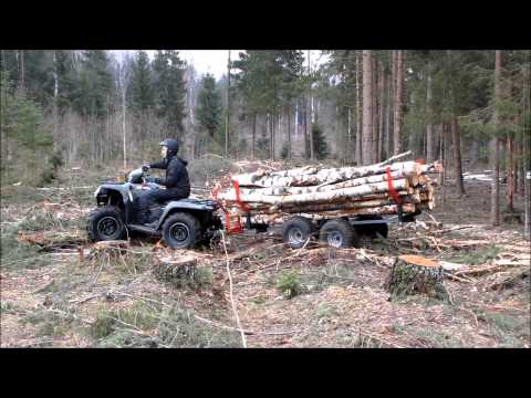 ATV TIMBER TRAILER