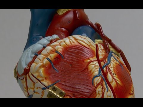 Heart Health And COVID-19 - Part 2