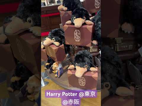 Harry Potter shop 東京赤坂