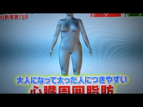 佐田政隆先生　心臓周囲脂肪ＮＯ 2