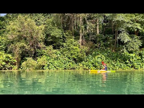 01- lifestyle - 00021- Kayak @ MacRitchie Reservoir 獨木舟之旅 Singapore Top 20 Weekend Activities!