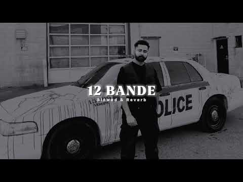 12 Bande ( Slowed & Reverb ) - Varinder Brar