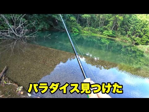 【秘境探し】釣り人が来てなさそうな川で釣りしたらめちゃくちゃ釣れました