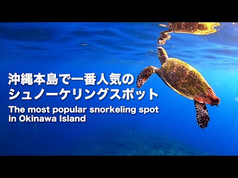 The Most Popular Snorkeling Spot in Okinawa Island, Cape Maeda Blue Cave.