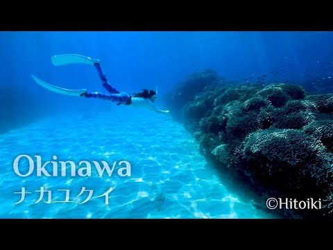 沖縄なかゆくいシュノーケリング：Free Diving in Japan's Snorkeling Spot Okinawa Nakayukui | Turtle, Coral, White Sand