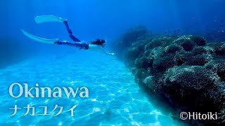 沖縄なかゆくいシュノーケリング：Free Diving in Japan's Snorkeling Spot Okinawa Nakayukui | Turtle, Coral, White Sand