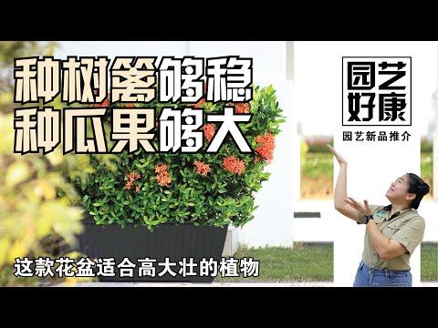 【Baba园艺好康】Baba独家花盆设计！一个顶三个！种树篱够稳，种果瓜够大！| 花盆推荐 | 环保塑料花盆 | 537 Volcano Box