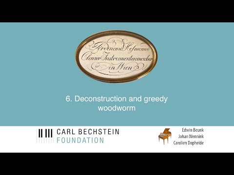 Restoring a fortepiano for the Carl Bechstein Foundation. 6 Deconstruction and greedy woodworm