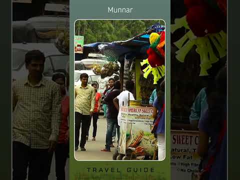 Munnar | English Travel Guide #mmtravelguide  #travel #ytshorts