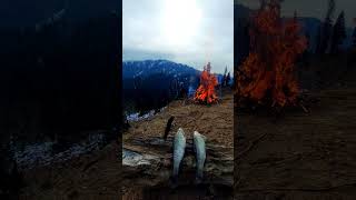 Grilling trout in Mountains #mountaincooking #camping #mountainlife #campingcooking #outdoorcooking