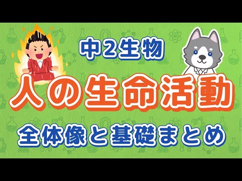 中2理科『生命活動の全体像と基礎知識まとめ』