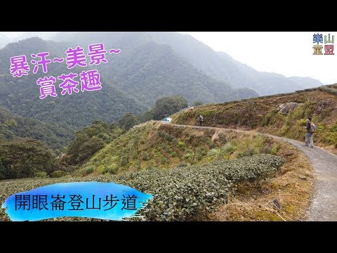 [新北坪林] 開眼崙登山步道 / Kaiyanlun Mountain Trail