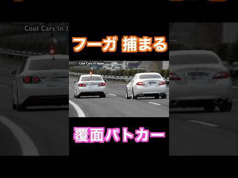 速度違反のフーガ、覆面パトカーに捕まる‼️ #shorts