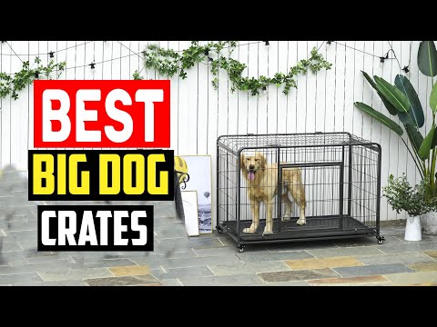 ✅Top 5 Best Big Dog Crates for Large and Giant Breeds in 2024