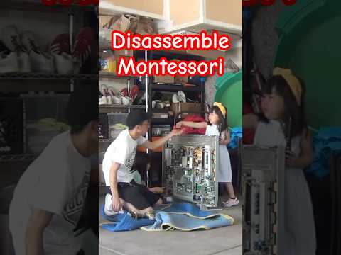 #shorts #montessorischool #モンテソッリー #disassembly