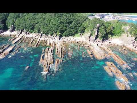 高知県 土佐清水市 竜串海岸