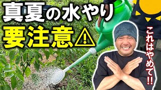 【作物を枯らさない】水やりの仕方