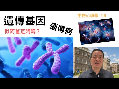 生物心理學16: #遺傳基因 #遺傳病#似阿爸定阿媽？#隱性基因#顯性基因