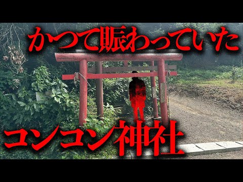 かつて賑わっていた「コンコン神社」はなぜ心霊スポット化してしまったのか？都市伝説】