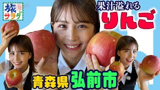 【りんご王国でも別格!?】青森の激レアりんごをいただきます🤤🍎