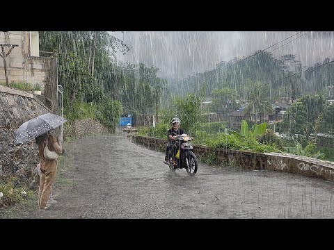 Heavy Rain in my village, suitable for insomnia, sleep instantly with the sound of heavy rain