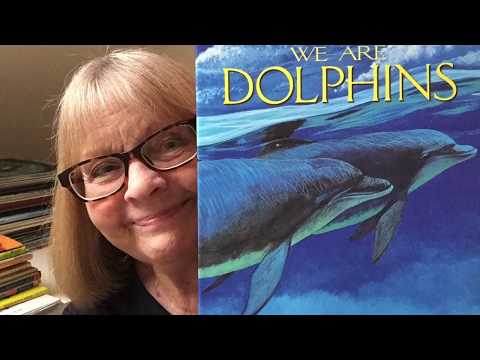 Summer Book Club - We are Dolphins