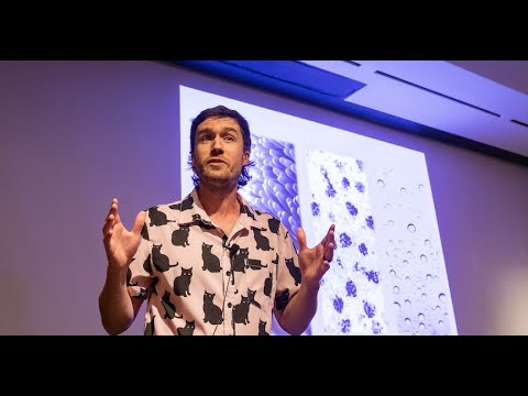 How the Gut Got its Spots – UCSF Postdoc Slam 2023, Tyler Huycke, Phd