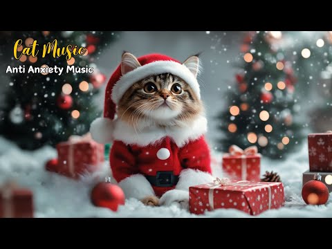 24 HOURS Relaxing Christmas Music for Cats 🎄 Soothing Music to Cat Sleep Easy and Reduce Stress 🎶