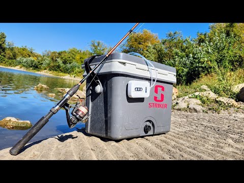 The BEST Fall Catfish BAIT!! (How to catch it and take care of it)