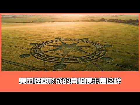 The truth about the formation of the crop circle turned out to be like this