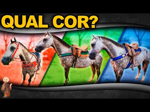 Qual cor de arreio combinou com cavalo ?