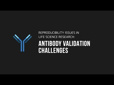 Reproducibility Issues in Life Science Research Documentary: Antibody Validation Challenges