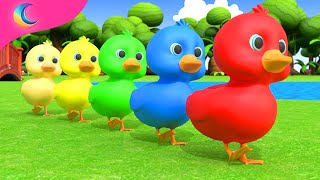 Five Little Ducks | Kids Songs | BluLoo Nursery Rhymes & Kids Songs