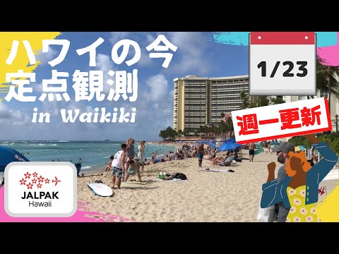 【ハワイの今】ワイキキ定点観測  2024年1月23日