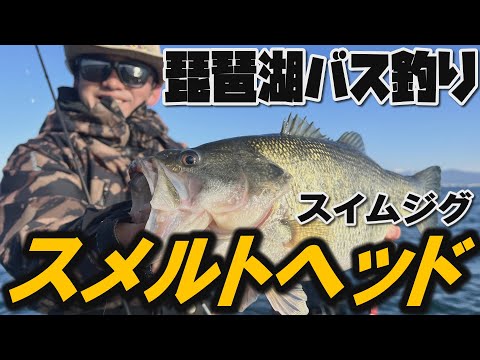 スメルトヘッド★スイムジグ【琵琶湖バス釣り】