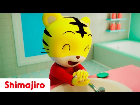 Wash your hands with Shimajiro! | Cleaning and healthy habits | Nursery rhymes for Toddles