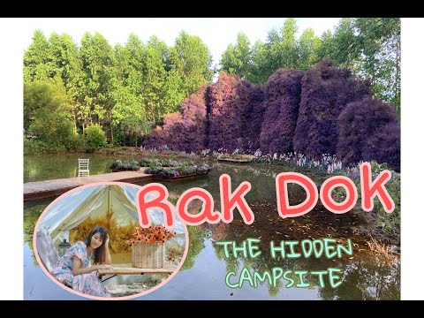 Go WithUs พาไปงาน รักดอก RAKDOK FLORAL DESTINATION | THE HIDDEN CAMPSITE