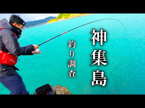 神集島で大物を狙って釣った魚をそのまま大人気な飲食店に持っていき交渉してみた...【離島ツアーズ佐賀編】