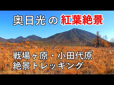 4K Autumn trekking in Oku Nikko / Tochigi, Japan