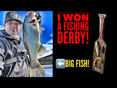 I Won a Bass Fishing Derby!  Big Fish also!-Castaic Lake