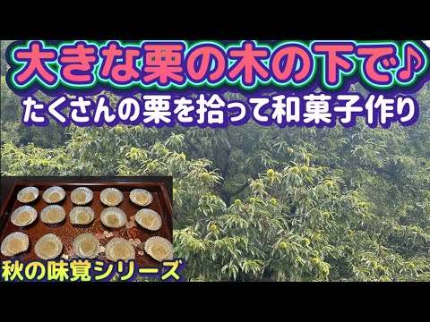 【楽しい田舎暮らしで栗拾い】秋の味覚シリーズ！岐阜県長野県の銘菓を作る