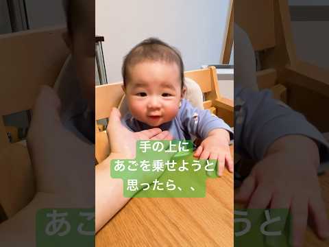 手の上にあごを乗せようと思ったら、、、 #baby #赤ちゃん #生後6ヶ月 #赤ちゃんのいる生活 #おもしろ #いやし