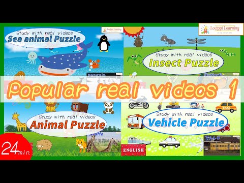 [ English ] Sea animals Animals Vehicles Insects moving live-action video Puzzle medley 1 For kids