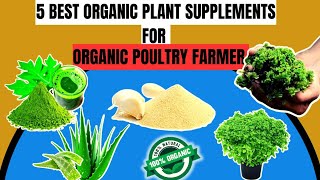 If You Are AN ORGANIC POULTRY FARMER Here ARE 5 ORGANIC PLANTS You Ought To Have At The Farm 🌿