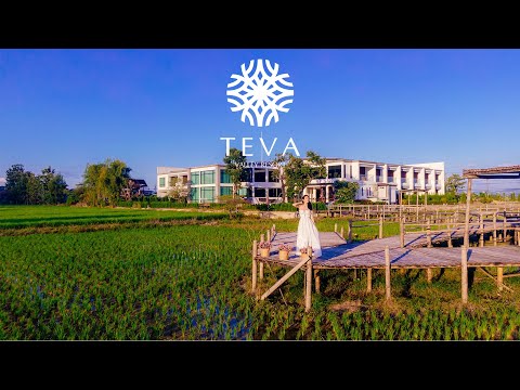 Teva Valley Resort สเน่ห์เชียงราย วิวเขาปลายนา