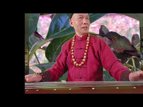 The Song of Hummingbirds to the tone of Huang Ying Yin 黃鶯吟