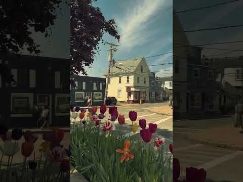 Summer in Rockport. #summer #shortsfeed #shortvideo #shorts #rockport #boston #shortsyoutube