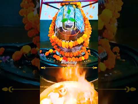 Shri Krishna Janmashtami 2024| Sri Krishna Janmashtami| कृष्ण जन्माष्टमी| Hare Krishna| #shorts