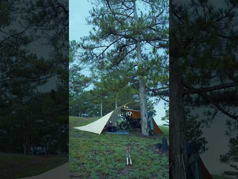 Camping with cat #solocamping #campingwithcats #asmr #journey