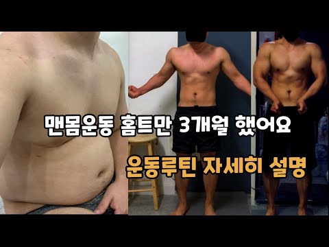 3개월 맨몸 운동 홈트레이닝 루틴 설명